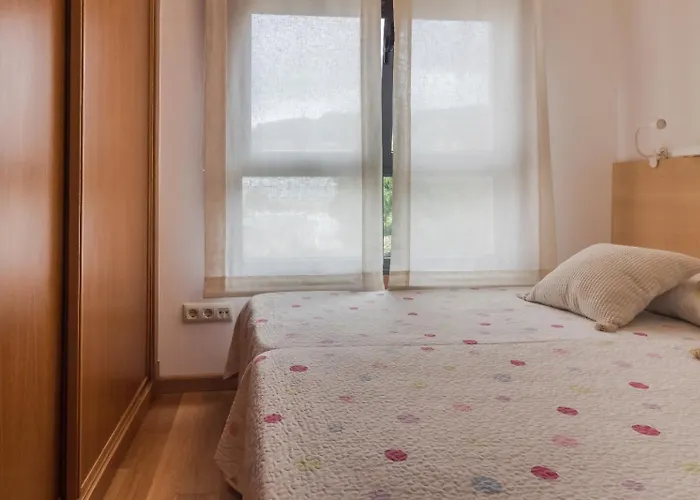 Peces De Madera Sanxenxo